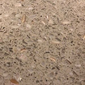 Meet your Posher, Shushan